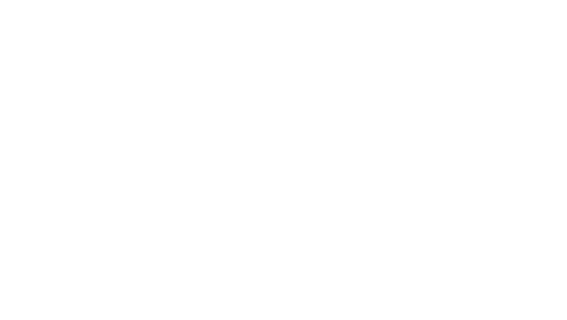 Tony Diaz Aviation